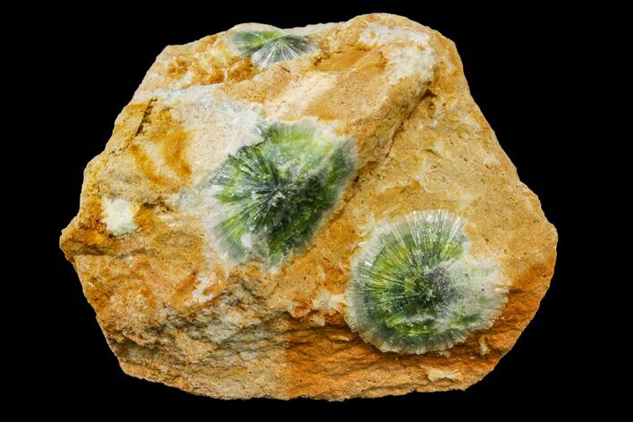 Radiating, Green Wavellite Crystal Aggregation - Arkansas #163052
